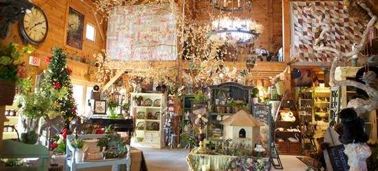 The Herbary - Bear Creek Farm | 494 Lakewood Farmingdale Rd, Howell, NJ 07731, USA | Phone: (732) 938-2327