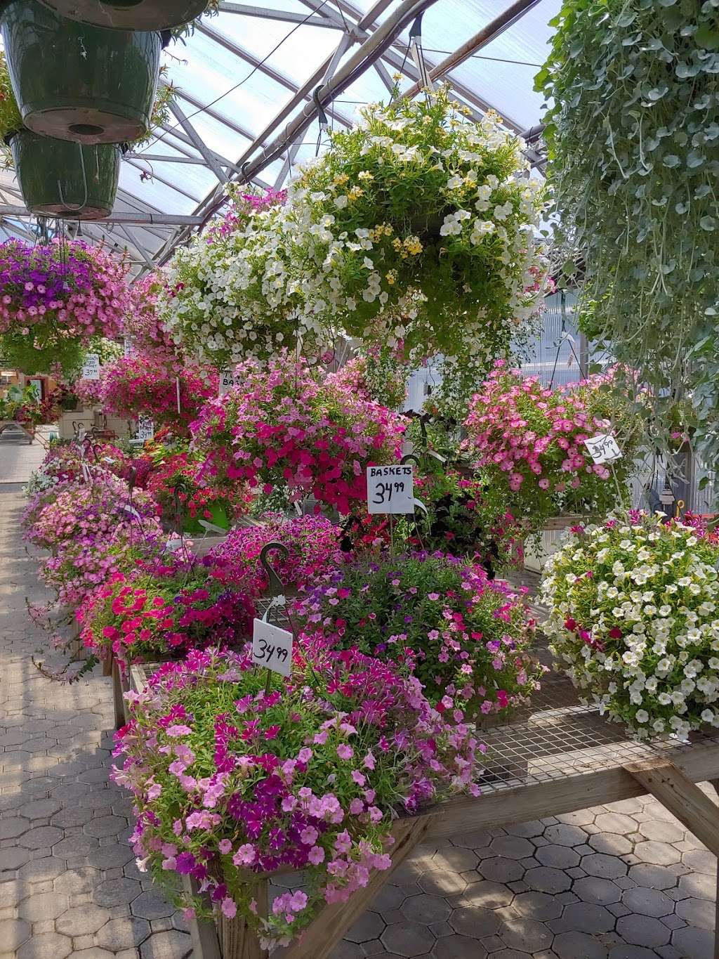 Rockingham Acres Garden Center | 161 Rockingham Rd #4154, Derry, NH 03038, USA | Phone: (603) 434-2817