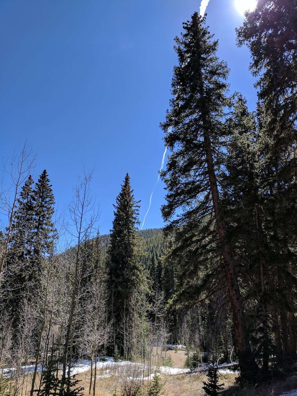 Charmetella Park | 444 P 69 Rd, Bailey, CO 80421, USA Charmetella Park | 444 P 69 Rd, Bailey, CO 80421, USA