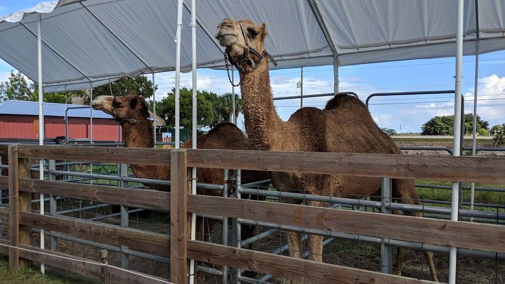 Animal EDventure Park | 10066 Lee Rd, Boynton Beach, FL 33473, USA | Phone: (561) 350-6948