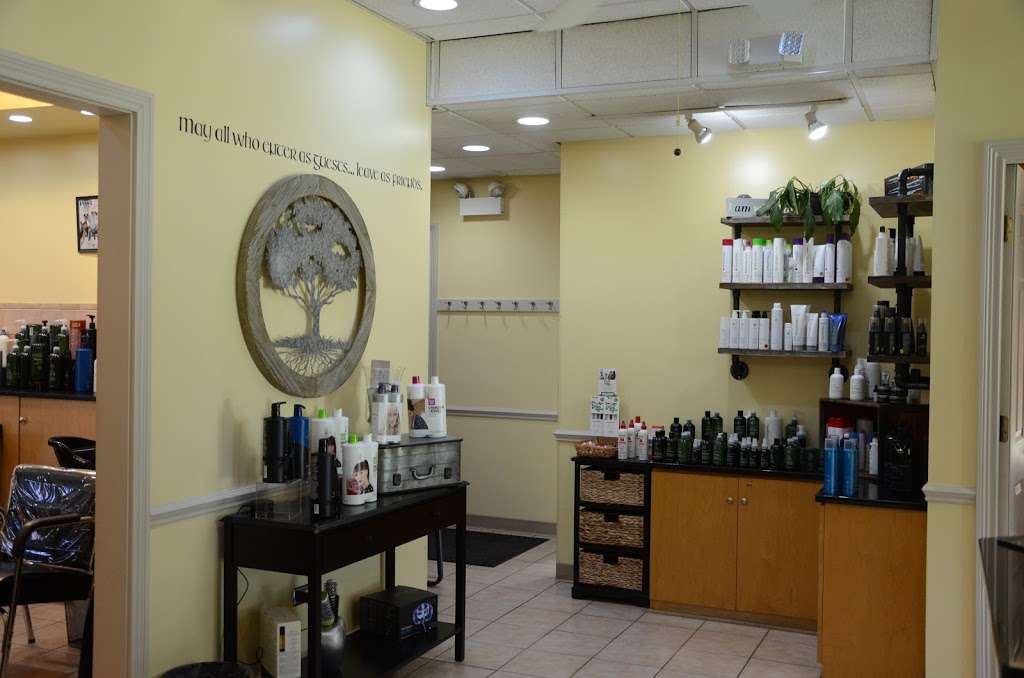 OHara & Friends Salon | 7008 W 127th St, Palos Heights, IL 60463, USA | Phone: (708) 239-1111