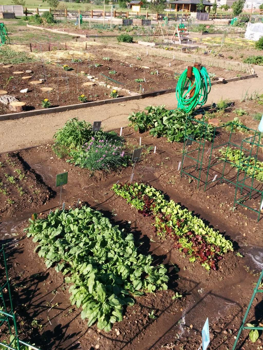 Rose Roots Community Garden | 12920 W 84th Ave, Arvada, CO 80005