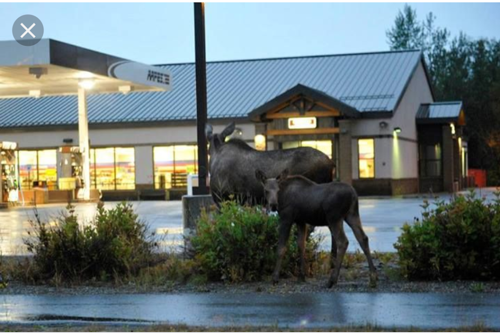 AAFES Gas Station | Provider Dr, Elmendorf AFB, AK 99506 | Phone: (907) 753-0323