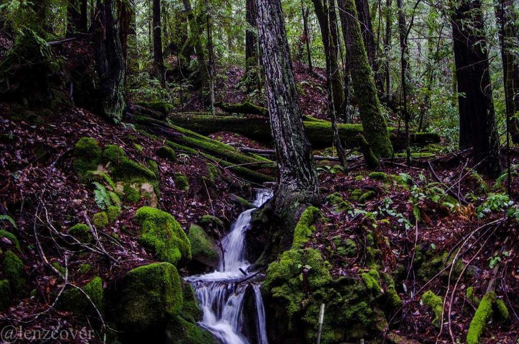 Soquel Demonstration Trail Head | Creek,, Los Gatos, CA 95033, USA