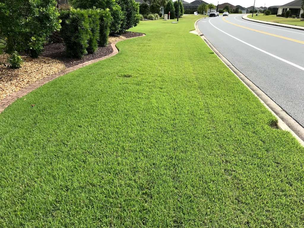 Falcon Lawn & Pest | 3100 NE 37th Pl, Wildwood, FL 34785, USA | Phone: (352) 689-0050