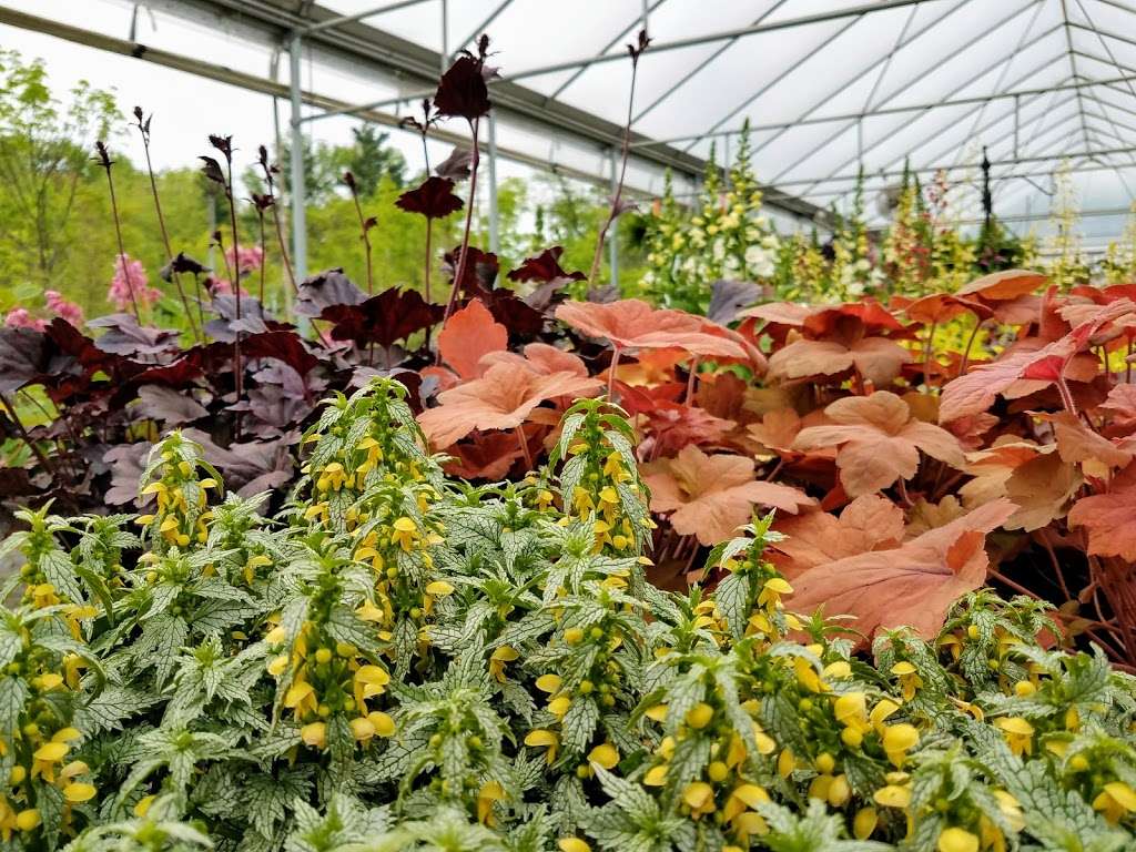 Kales Nursery & Landscape Service, Inc. | 133 Carter Rd, Princeton, NJ 08540, USA | Phone: (609) 921-9248