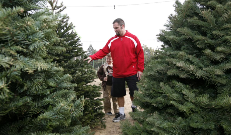Santas Best Christmas Trees - Cherry Creek | 200 S University Blvd, Denver, CO 80209, USA | Phone: (303) 900-1314