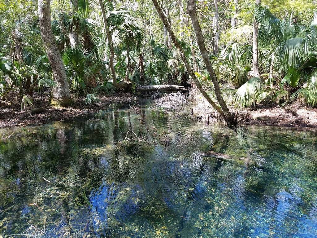 Sulfur Springs | 41415 Boy Scout Rd, Paisley, FL 32767, USA