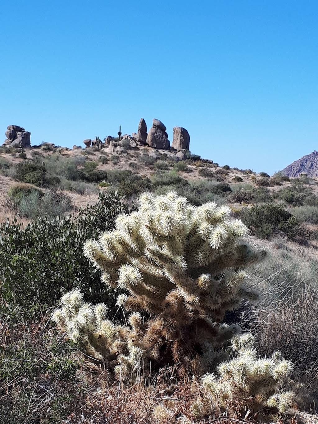 East and Trail Trailhead | Mesquite Canyon Trail, Scottsdale, AZ 85255, USA | Phone: (480) 998-7971