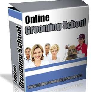 Master Groomers Academy | 15455 Glenoaks Blvd space 415, Sylmar, CA 91342 | Phone: (818) 512-8125