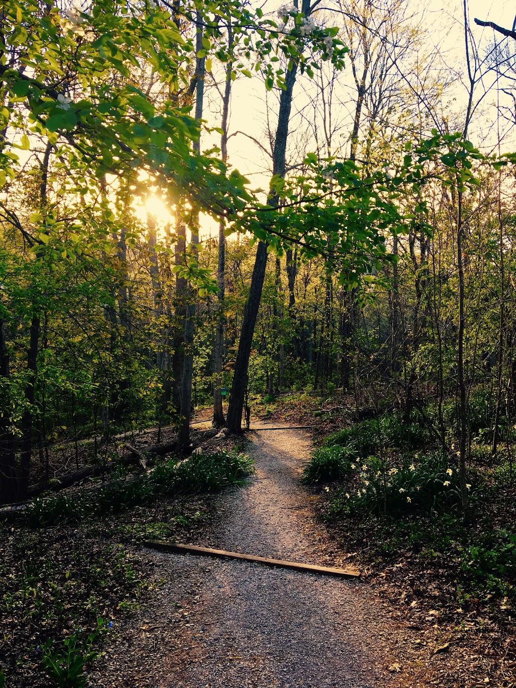 Withrow Nature Preserve | 7075 Five Mile Rd, Cincinnati, OH 45230, USA | Phone: (513) 521-7275