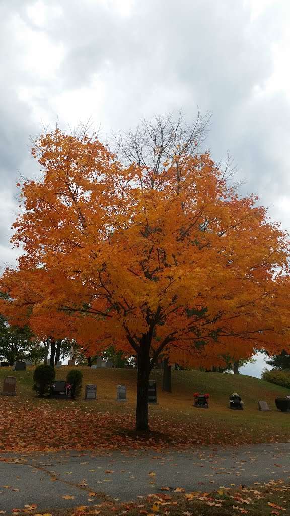 St. Joseph Cemetery | 96 Riverneck Rd, Chelmsford, MA 01824, USA | Phone: (978) 458-4851