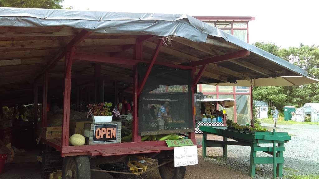 Barry Davis Produce Stand | 821 Collegeville Rd, Collegeville, PA 19426 | Phone: (610) 327-2821