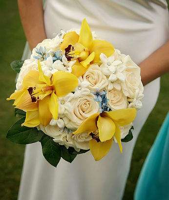 Back Mountain Floral | 2909 Memorial Hwy, Dallas, PA 18612, USA | Phone: (570) 675-4600 Back Mountain Floral | 2909 Memorial Hwy, Dallas, PA 18612, USA | Phone: (570) 675-4600