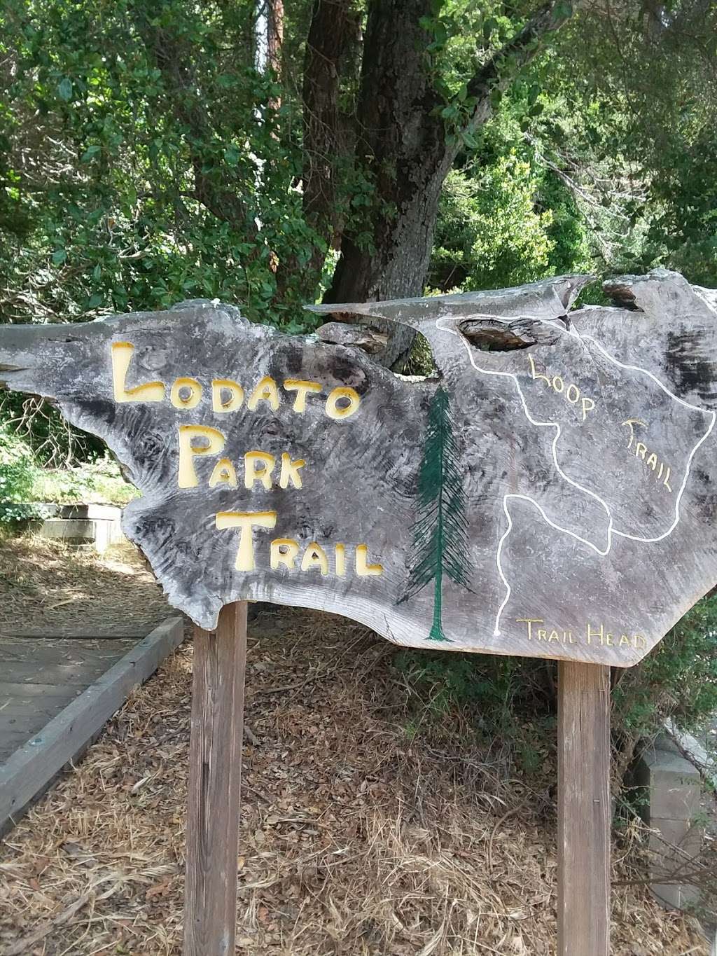 Lodato Park | Scotts Valley, CA 95066 | Phone: (831) 438-3251