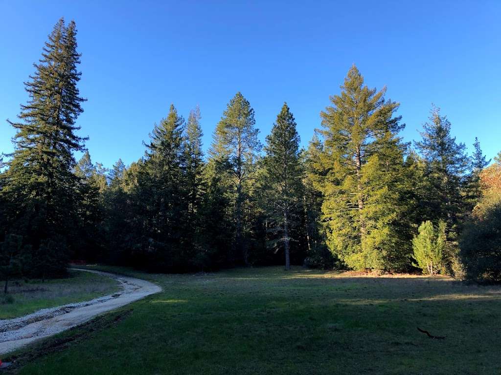 Crown Meadow | Santa Cruz, CA 95064, USA