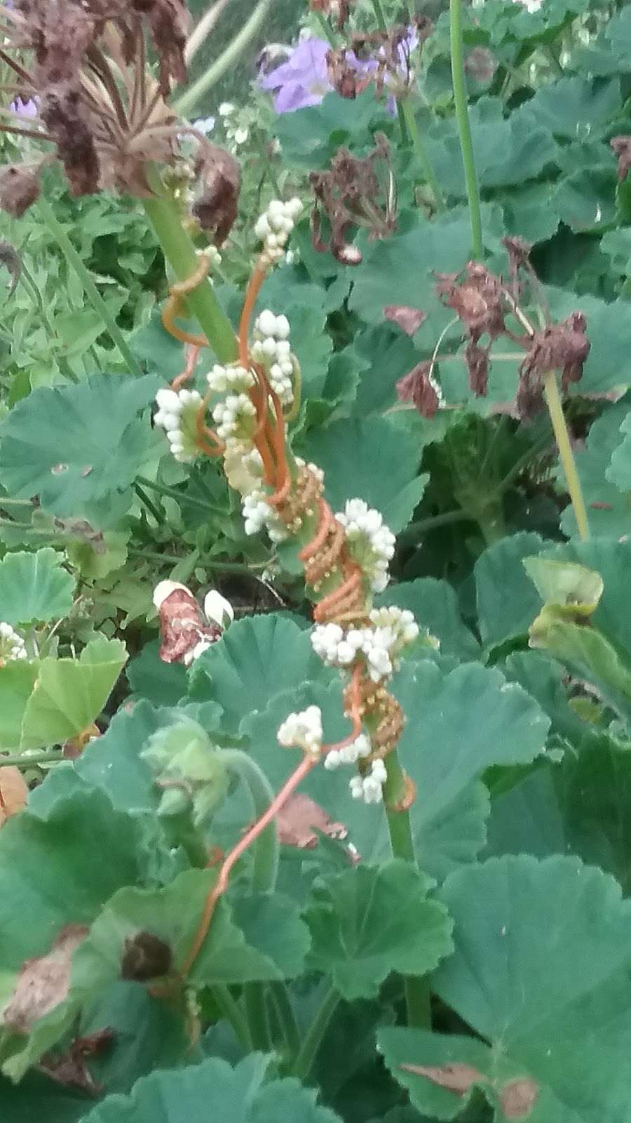 Books & Beyond Online | 6 Blakeslee Dr, Newtown, CT 06470, USA | Phone: (203) 364-1679 Books & Beyond Online | 6 Blakeslee Dr, Newtown, CT 06470, USA | Phone: (203) 364-1679