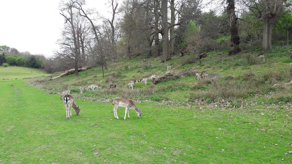 Main Lodge Knole | Sevenoaks TN15 0RP, UK