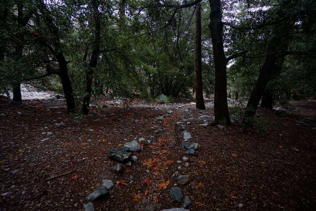 Stone House Crossing Campground | Middle Fork Rd, Lytle Creek, CA 92358 | Phone: (909) 382-2851