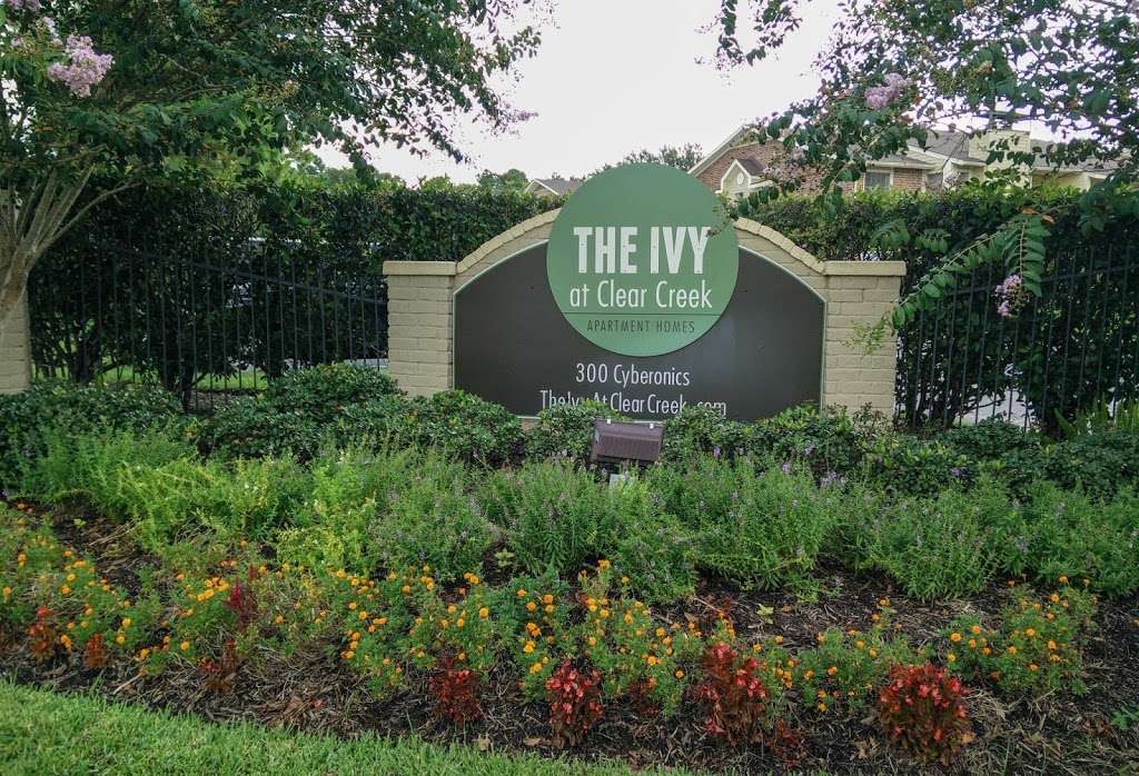 The Ivy At Clear Creek Apartment Homes | 300 Cyberonics Blvd, Houston, TX 77058, USA | Phone: (281) 488-8888