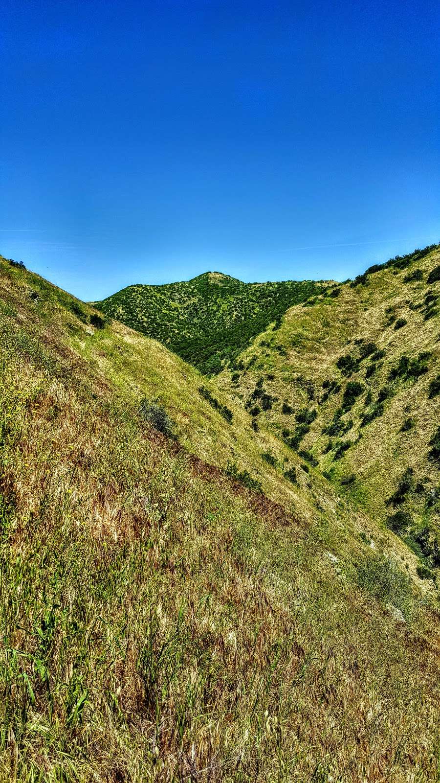 Crafton Hills Open Space Preserve | 33787-34079 Crafton Hills Ridge Trail, Mentone, CA 92359, USA