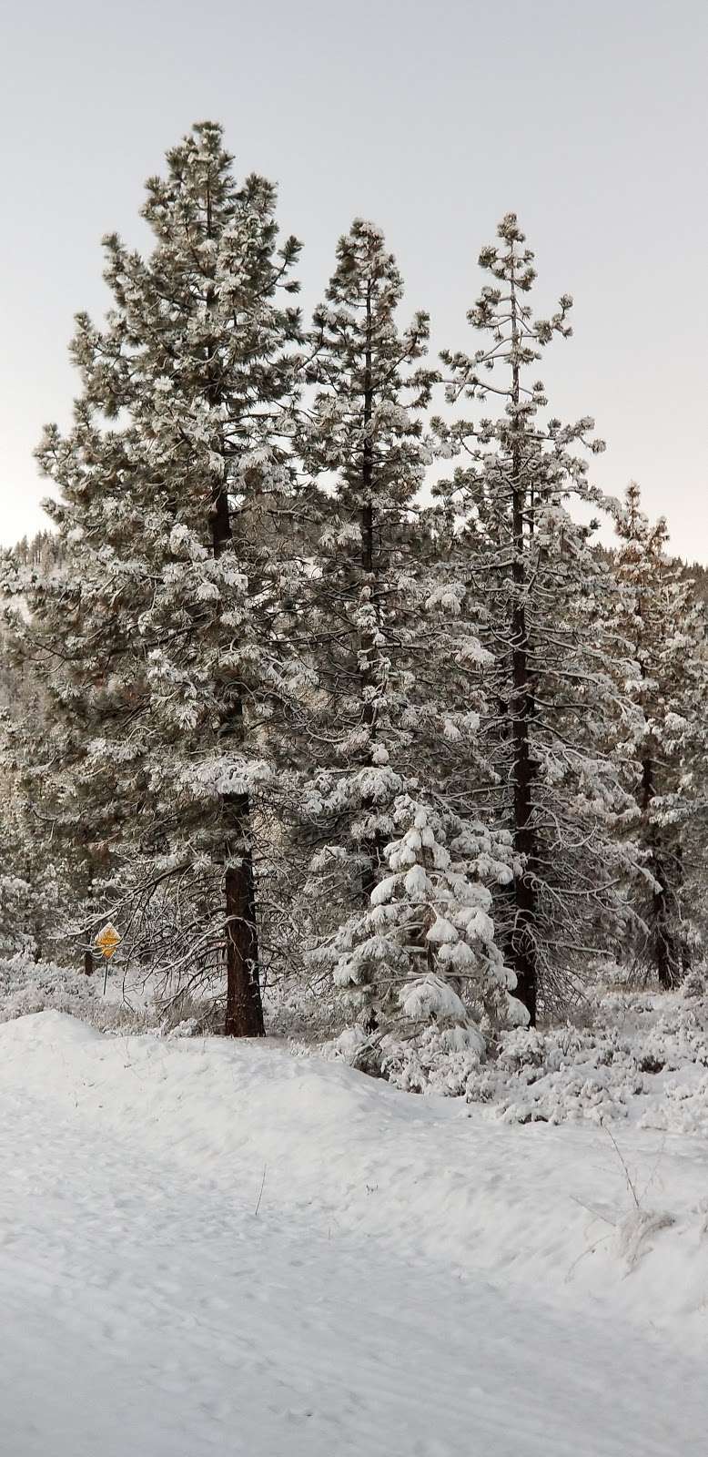 Mt Pinos vehicle meeting spot | Mil Potrero Hwy, Frazier Park, CA 93225, USA