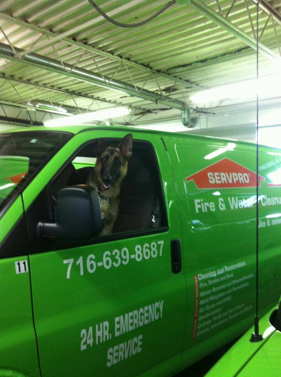 Servpro of Buffalo / Tonawanda | 57 Windsong Ct #101, East Amherst, NY 14051, USA | Phone: (716) 694-9949