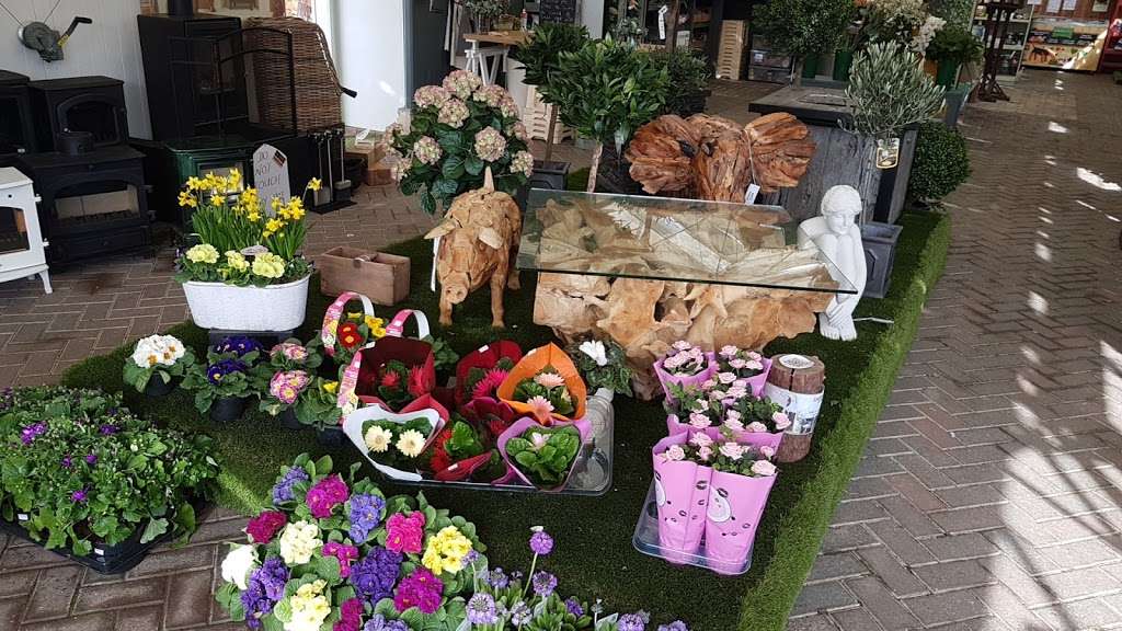 Brentwood Garden Centre | Vicarage Cl, Brentwood CM14 5GR, UK | Phone: 01277 262303