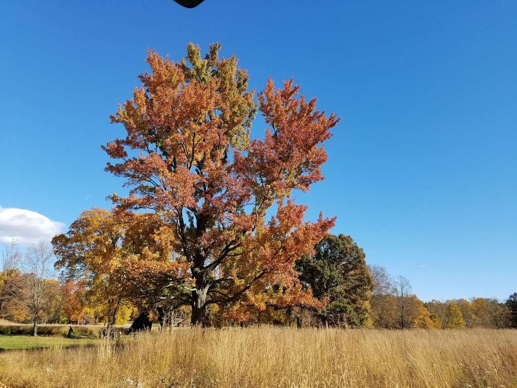 Schunnemunk Mountain State Park | 339 Otterkill Rd, New Windsor, NY 12553, USA