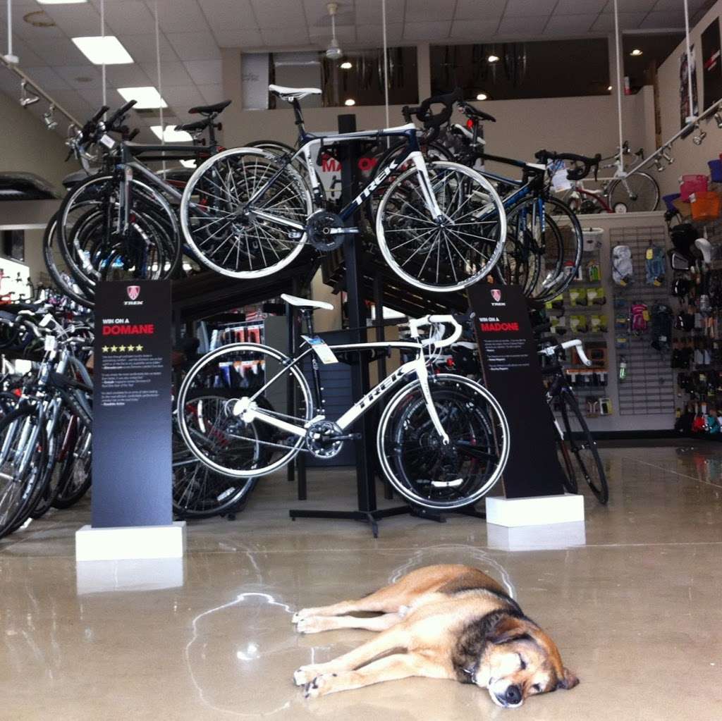 Bikesport | 325 W Main St, Trappe, PA 19426, USA | Phone: (610) 489-7300