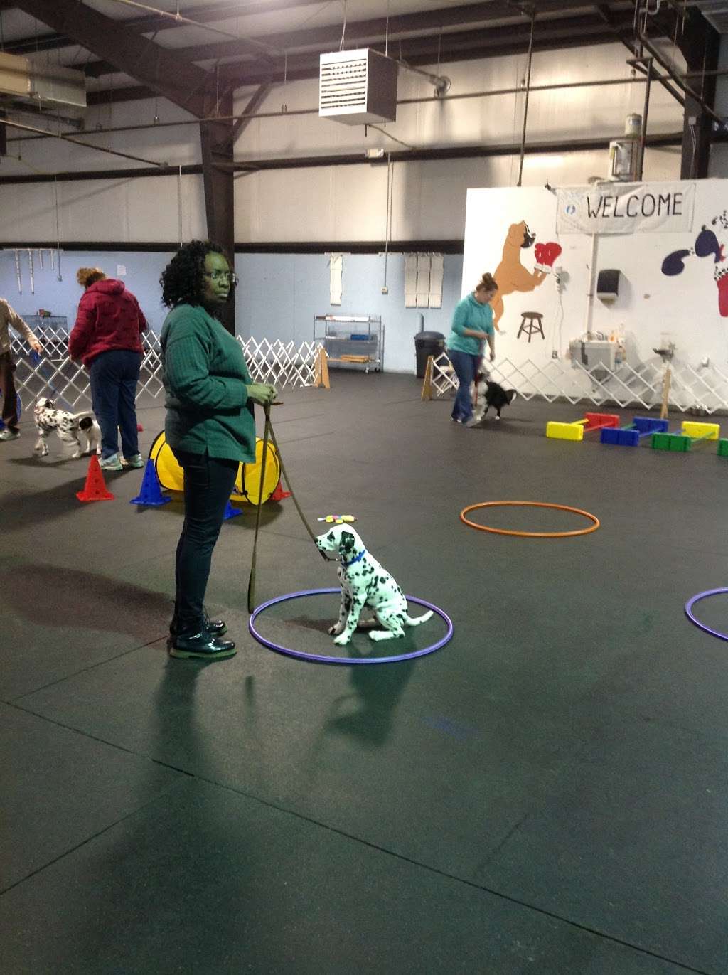 Pupn Iron Canine Fitness & Learning Center | 21 Perchwood Dr, Fredericksburg, VA 22405, USA | Phone: (540) 659-7614