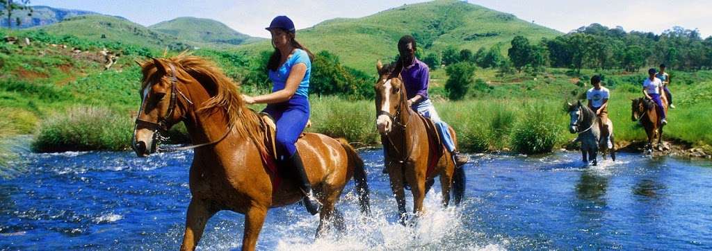 South Africa Travel & Tours | Milton, MA 02186, USA | Phone: (617) 910-9884