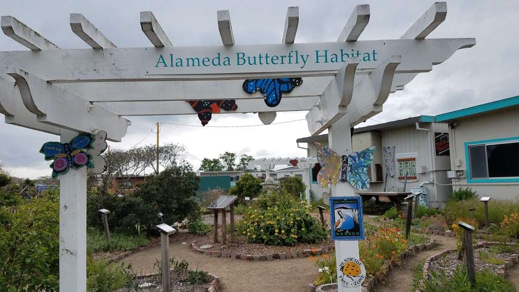 Alameda Butterfly Habitat | Aughinbaugh Way, Alameda, CA 94502, USA