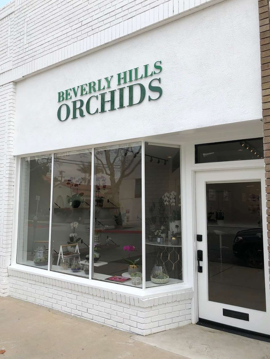 Beverly Hills Orchids | 368 S Maple Dr, Beverly Hills, CA 90212 | Phone: (310) 503-1200