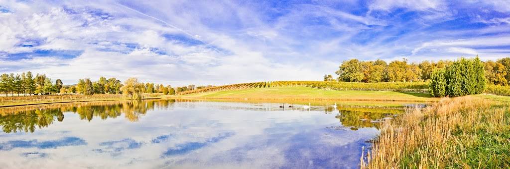 Keswick Vineyards | 1575 Keswick Winery Dr, Keswick, VA 22947, USA | Phone: (434) 244-3341