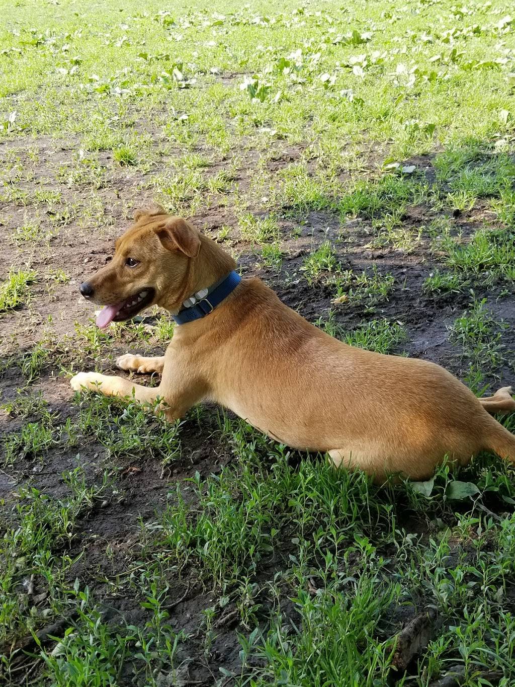 Frick Park Off-Leash Exercise Area | Pittsburgh, PA 15217, USA | Phone: (412) 255-2539