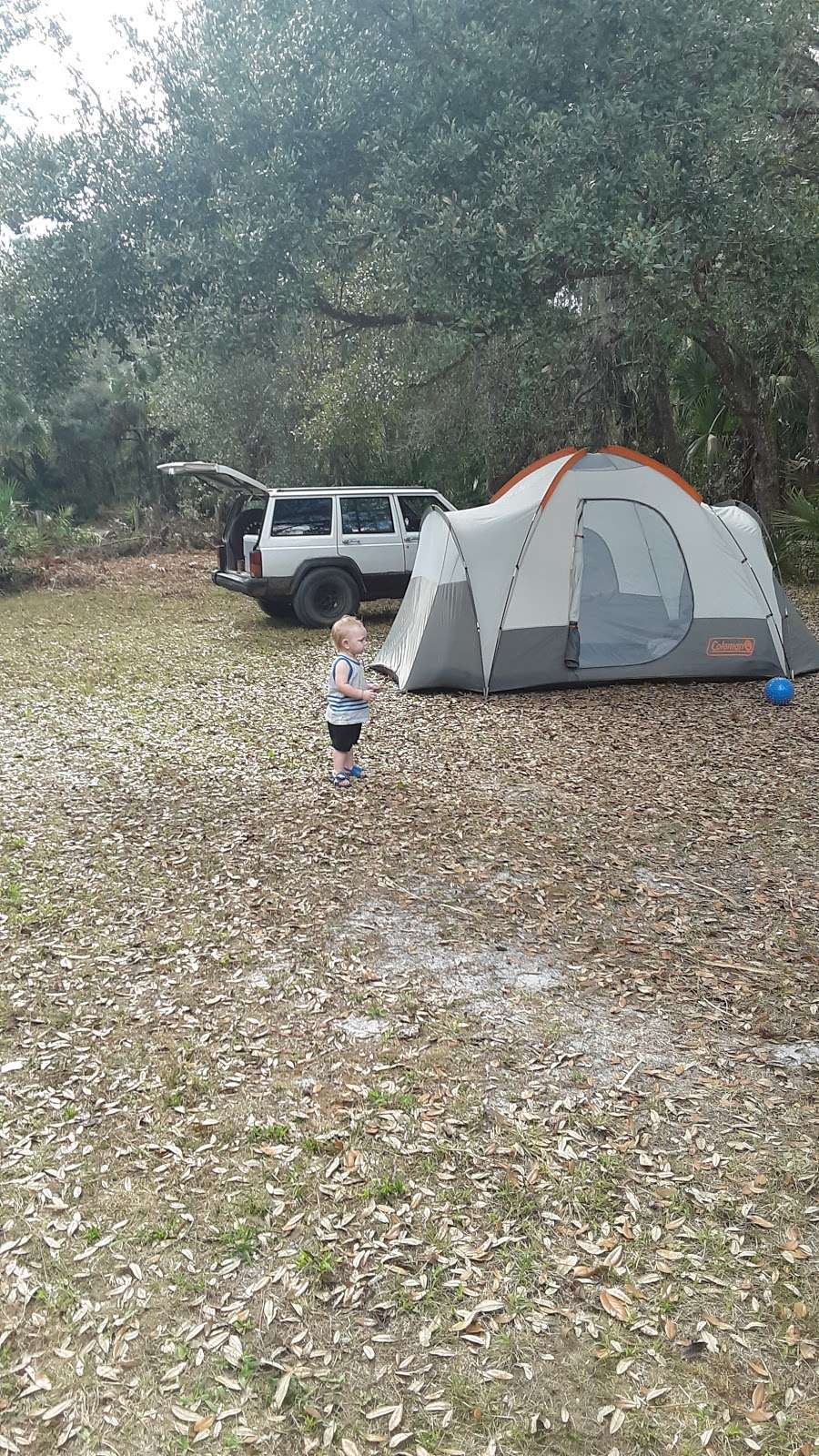 River Road Campground | Astor, FL 32102, USA | Phone: (386) 585-6150