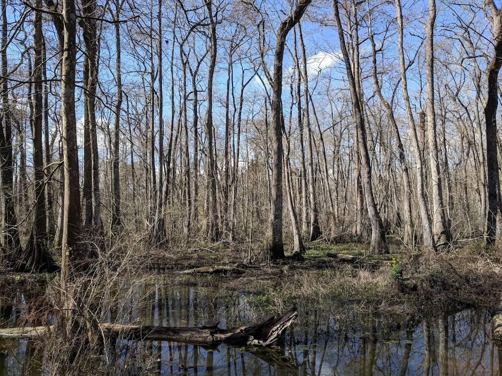 BRECs Bluebonnet Swamp Nature Center | 10503 N Oak Hills Pkwy, Baton Rouge, LA 70810, USA | Phone: (225) 757-8905