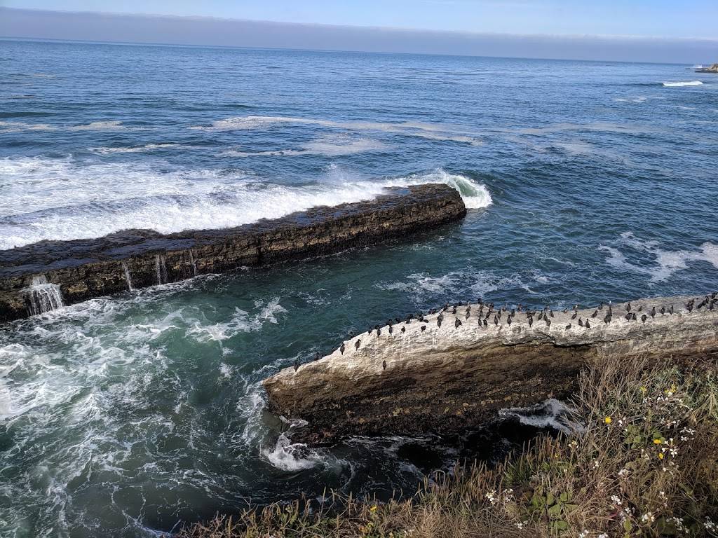 Fern Grotto Beach | Santa Cruz, CA 95060, USA | Phone: (831) 423-9703