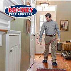 Romney Pest Control | 16920 Kuykendahl Rd, Houston, TX 77068, USA | Phone: (281) 781-7650