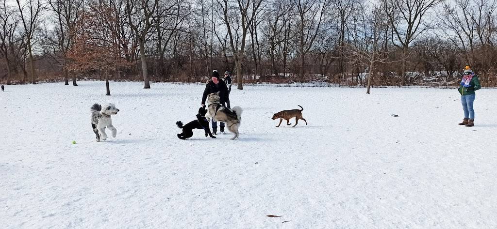 Estabrook Dog Park | Oak Leaf Trail, Milwaukee, WI 53217 | Phone: (414) 257-7275