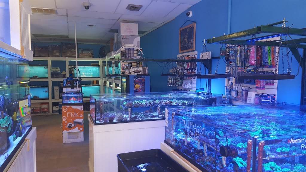 Coral Sea Aquatics | 5421 S Abbott Rd, Orchard Park, NY 14127, USA | Phone: (716) 202-1165