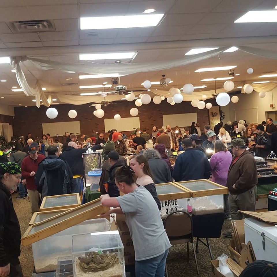 Pittsburgh Reptile Show And Sale | 1321 Freeport Rd, Cheswick, PA 15024, USA | Phone: (724) 516-0441