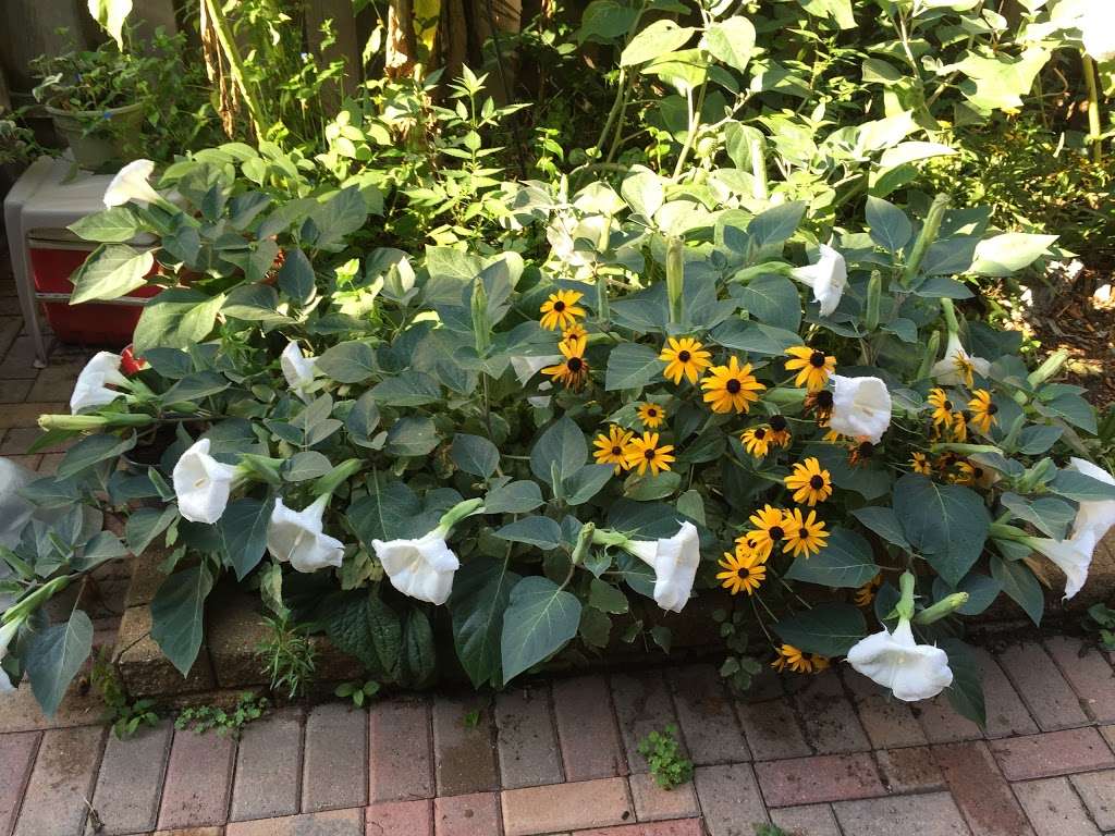 Country Gardens Garden Center | 18959 W Grand Ave, Lake Villa, IL 60046, USA | Phone: (847) 356-2033