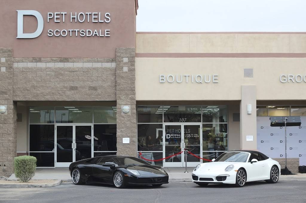D Pet Hotels Scottsdale | 15060 N Northsight Blvd, Scottsdale, AZ 85260, USA | Phone: (480) 696-3738