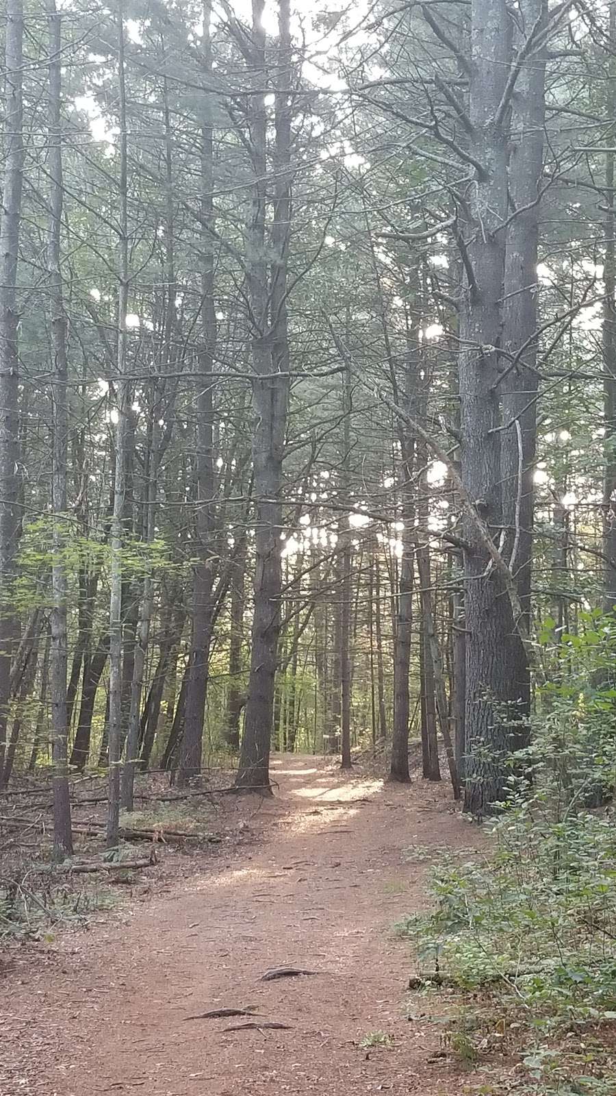 Old Rifle Range | Concord, MA 01742, USA