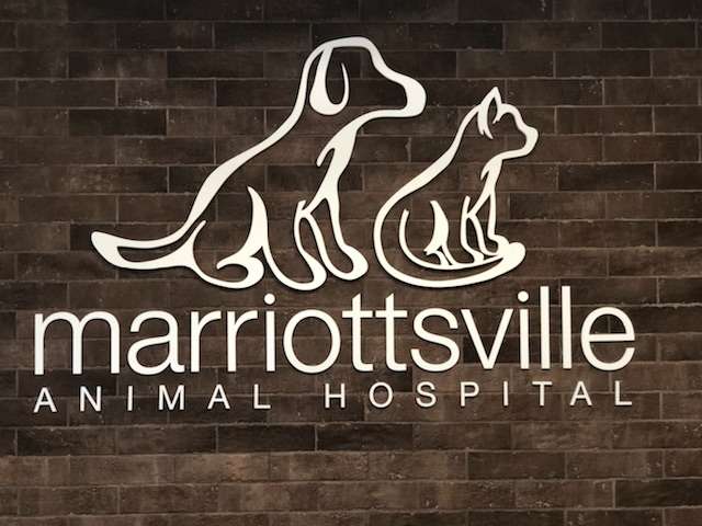 Marriottsville Animal Hospital | 2020 Marriottsville Rd Suite A, Marriottsville, MD 21104 | Phone: (410) 480-2222