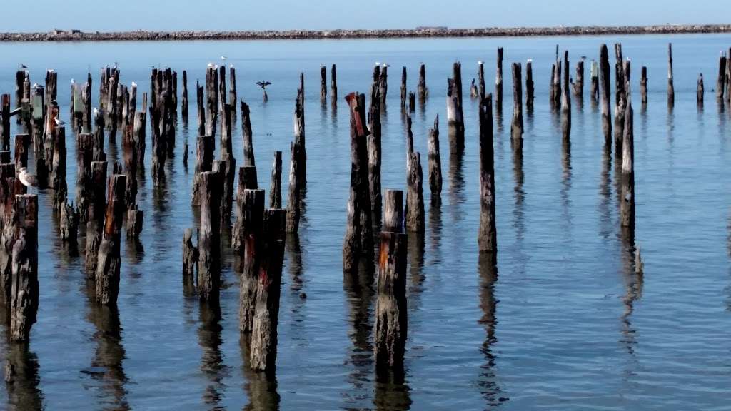 Fishing Pier Cape Henlopen | Bike Loop, Lewes, DE 19958, USA | Phone: (302) 645-8983