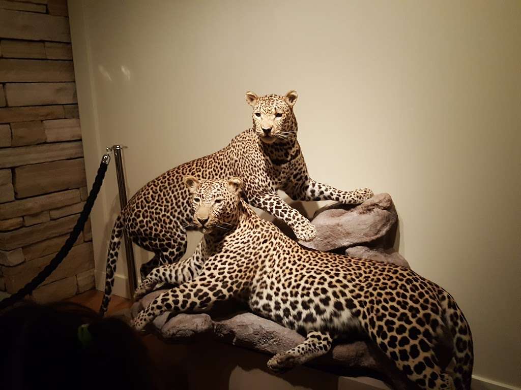 The Wildlife Experience | 10035 S Peoria St, Parker, CO 80134, USA | Phone: (720) 488-3300