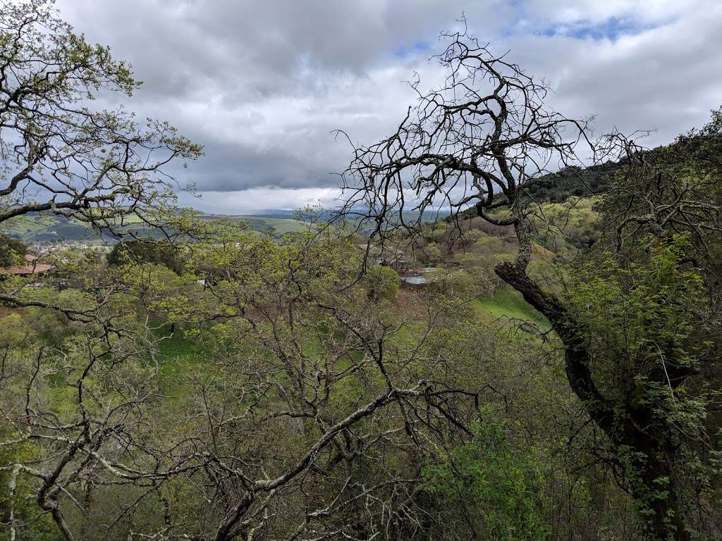 Almaden Quicksilver County Park | New Almaden Trail, San Jose, CA 95120, USA | Phone: (408) 535-4070